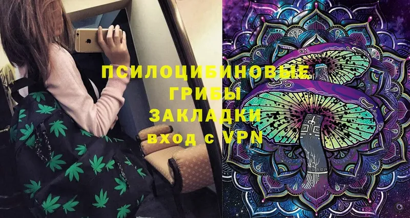 Галлюциногенные грибы Magic Shrooms  Октябрьский 