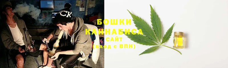 Канабис OG Kush  Октябрьский 